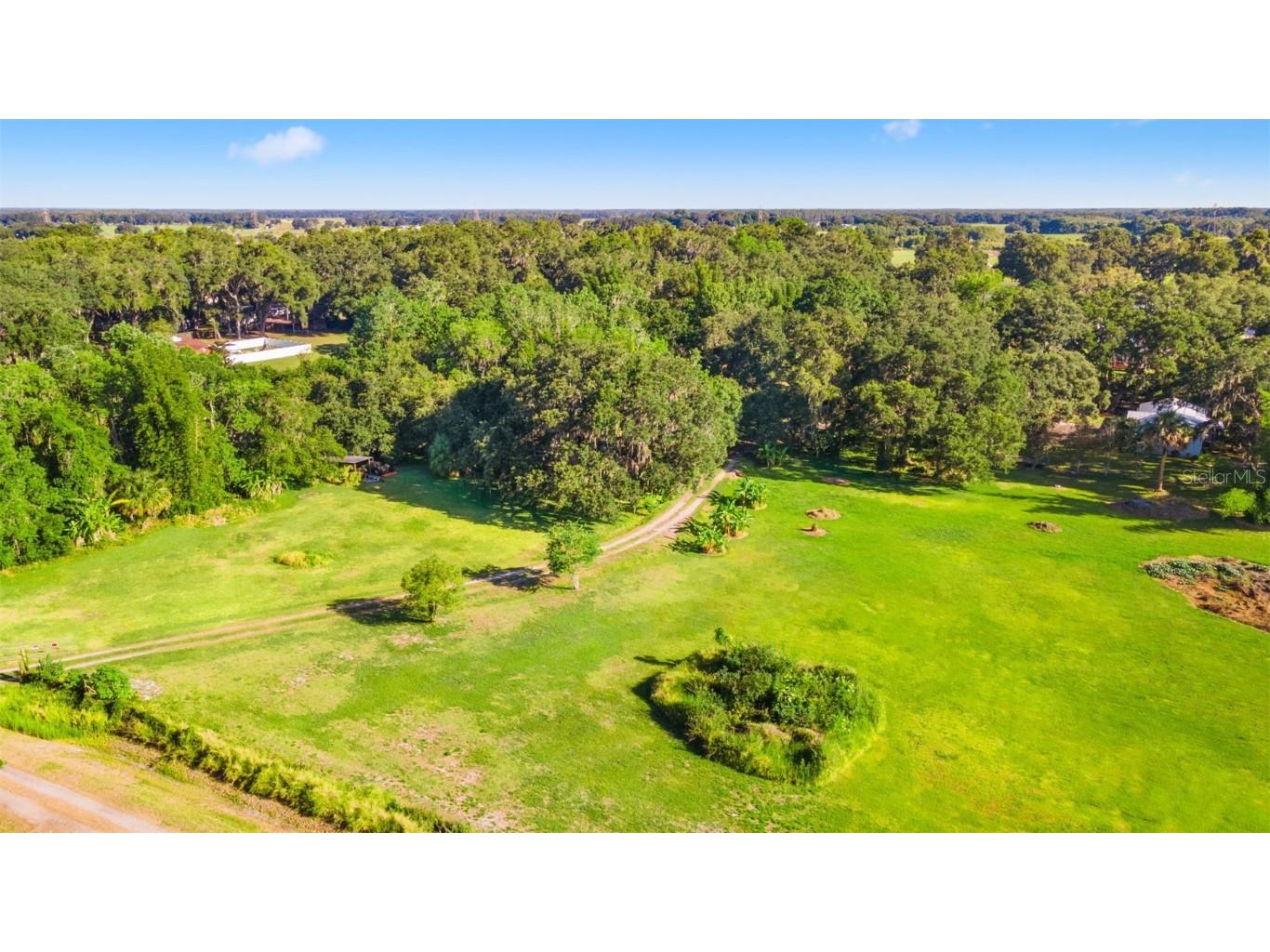 2802 Lyra Lane Plant City FL 33565 A4677088 image20