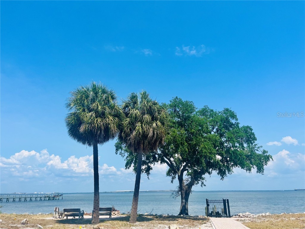 2802 Northpointe Lane Tampa FL 33611 - TAMPA BAY TB8384376 image55