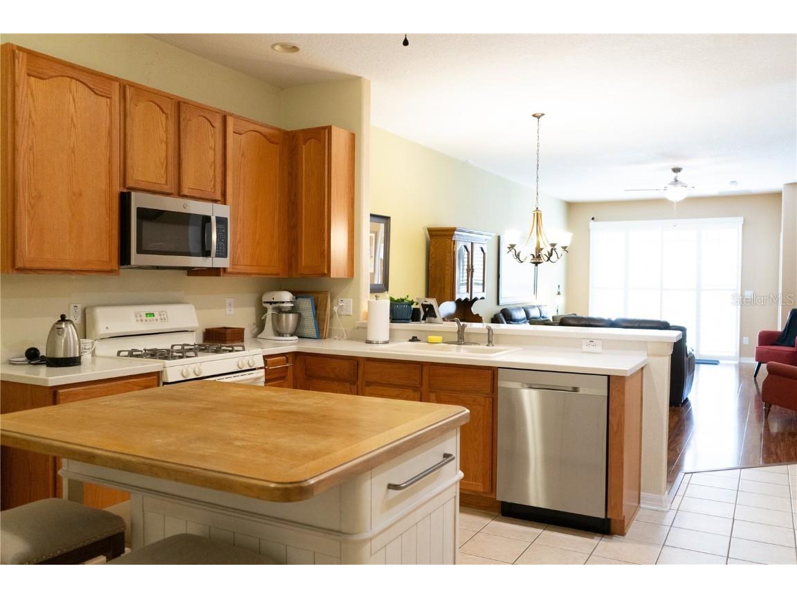 2802 Torrance Drive Land O Lakes FL 34638 TB8460849 image6