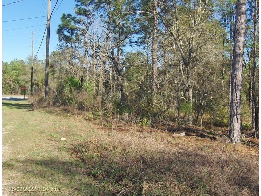 2802 W Buccaneer Lane Citrus Springs FL 34433 C7527795 image2