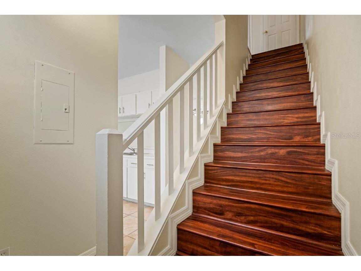 2802 W Cleveland Street #L Tampa FL 33609 TB8417235 image18