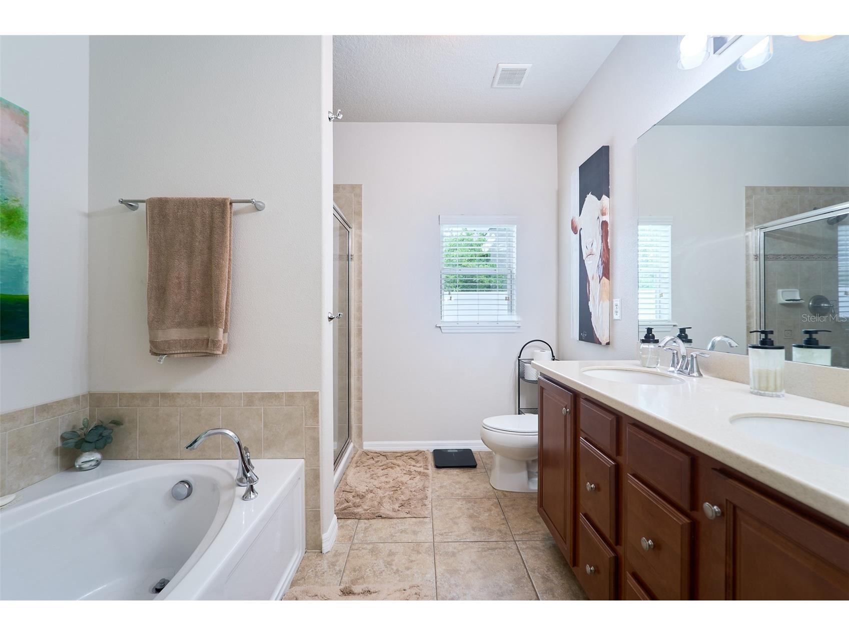 2802 Winglewood Circle Lutz FL 33558 TB8510926 image14