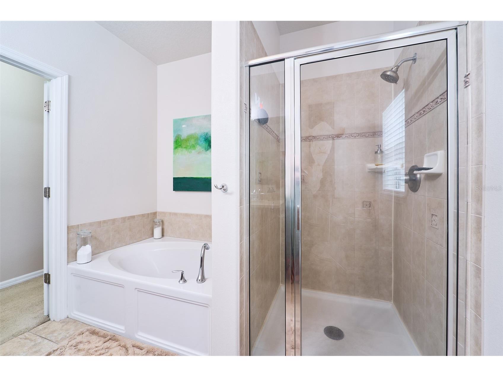 2802 Winglewood Circle Lutz FL 33558 TB8510926 image23
