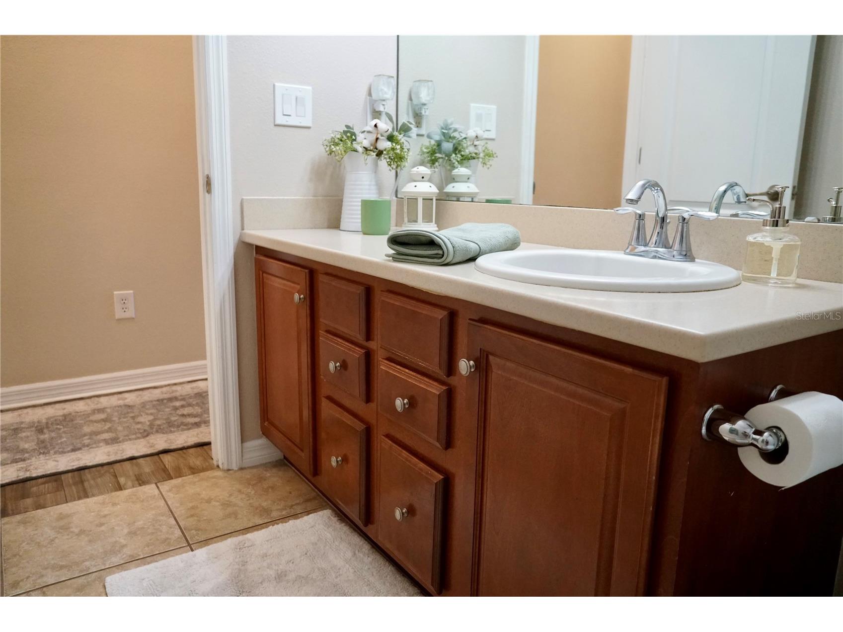 2802 Winglewood Circle Lutz FL 33558 TB8510926 image28