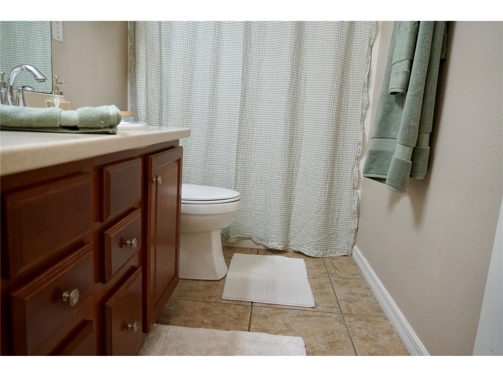 2802 Winglewood Circle Lutz FL 33558 TB8510926 image29