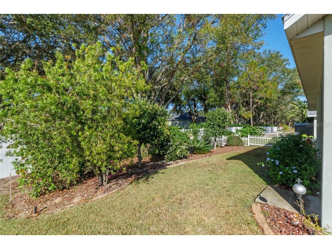 28023 Cypress Springs Loop Okahumpka FL 34762 O6265290 image23