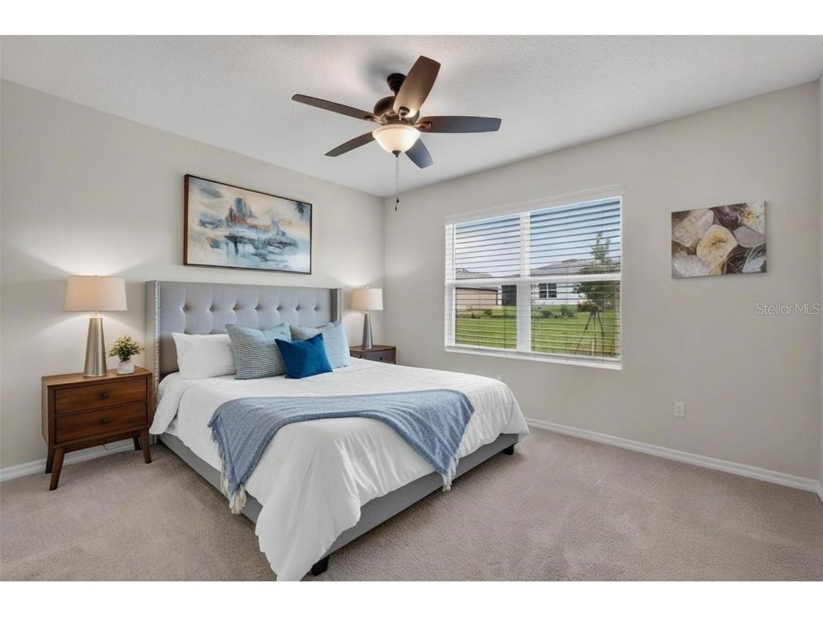 28026 Cypress Springs Loop Okahumpka FL 34762 TB8434792 image11