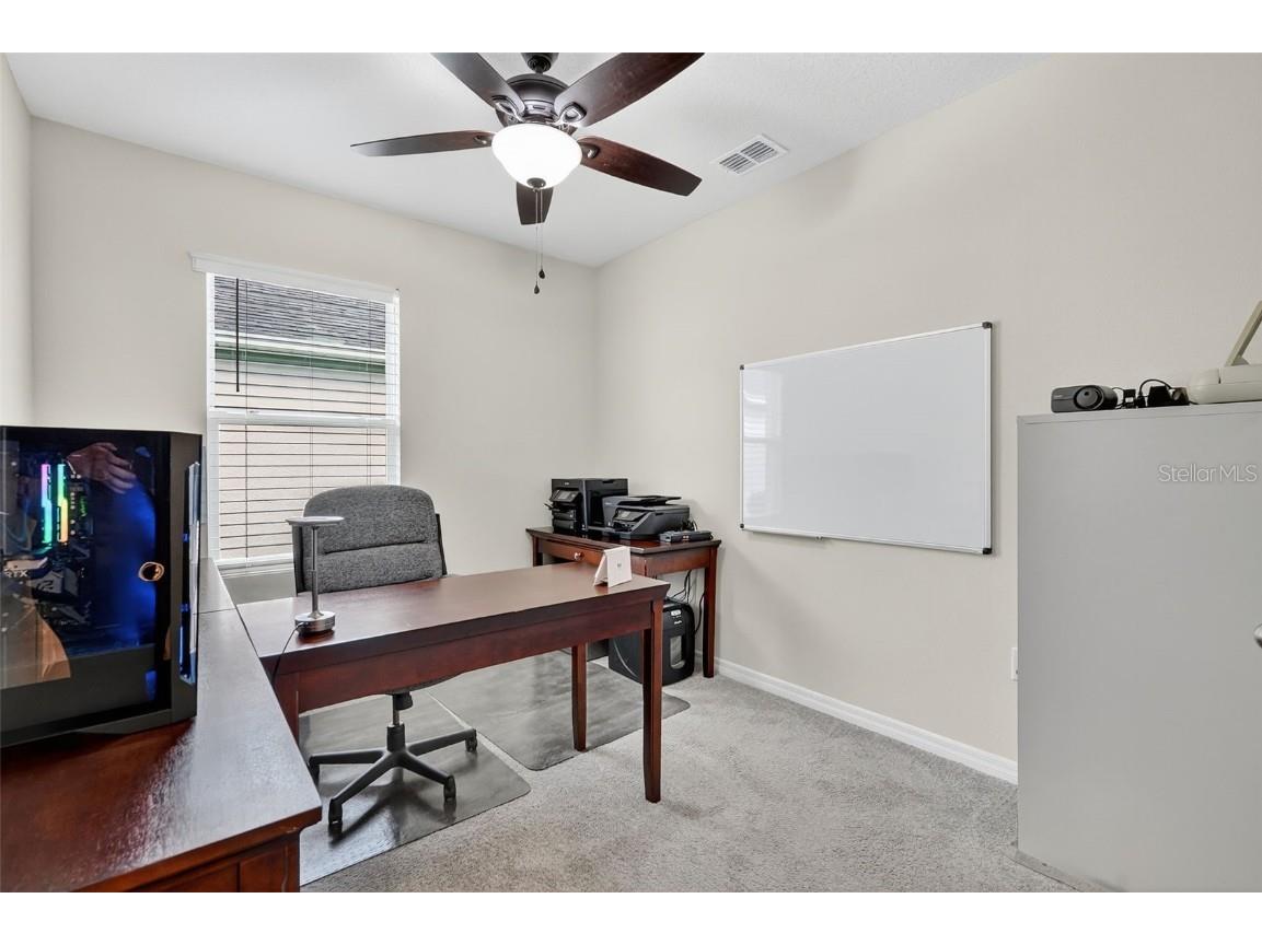 28026 Cypress Springs Loop Okahumpka FL 34762 TB8434792 image43