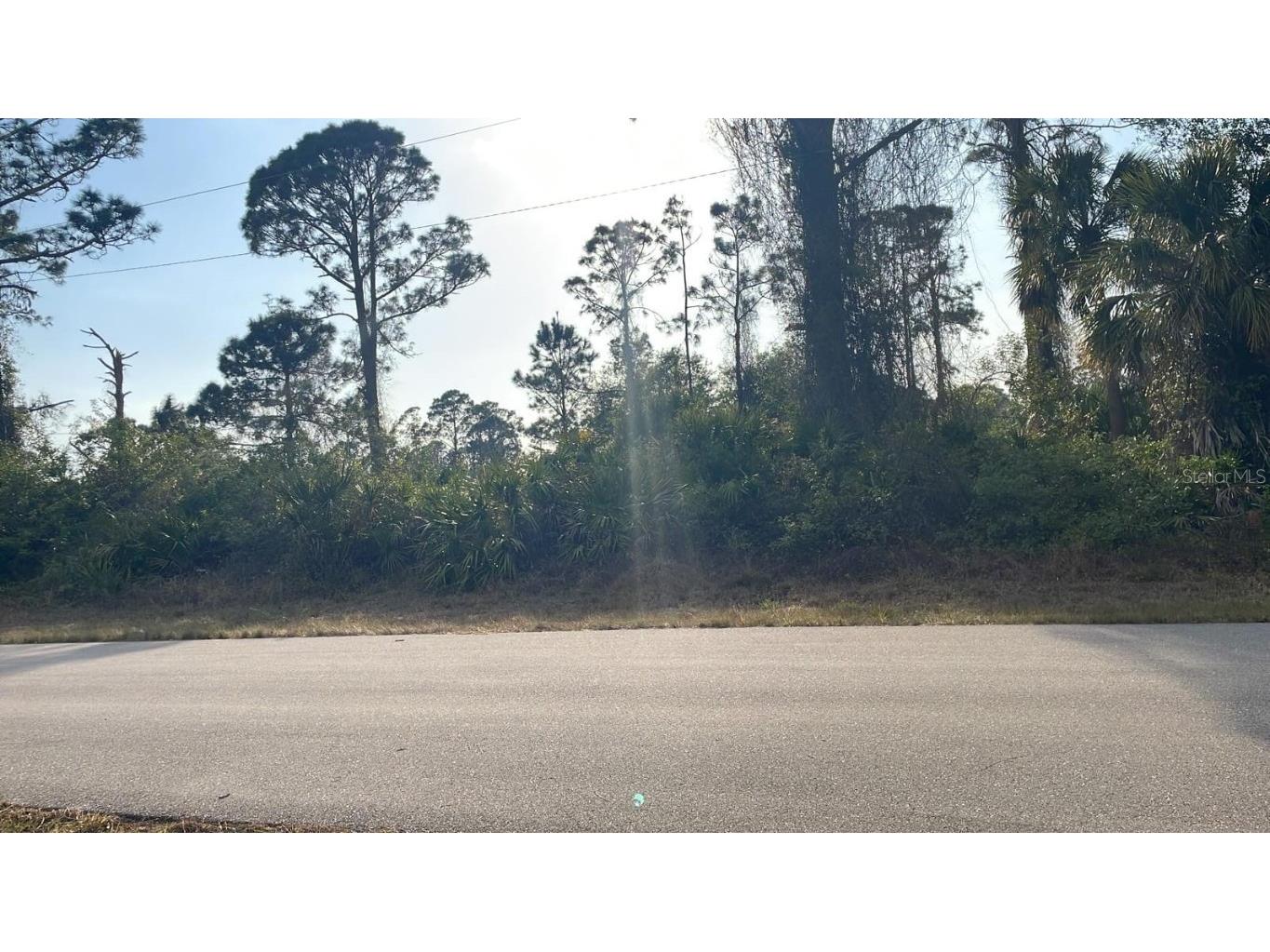 2803 24th Street W Lehigh Acres FL 33971 S5086160 image1