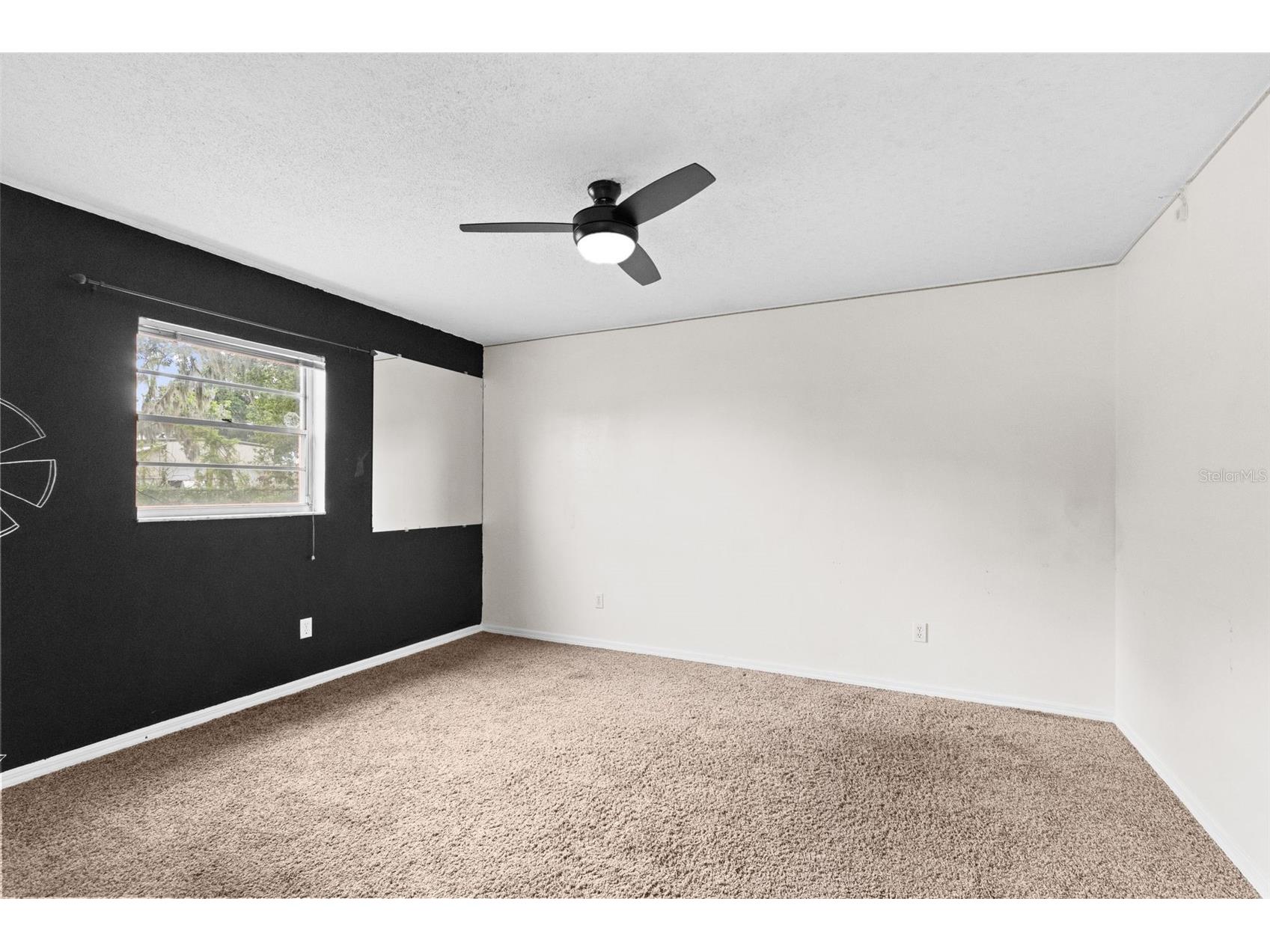 2803 E Trapnell Road Plant City FL 33566 TB8515923 image19