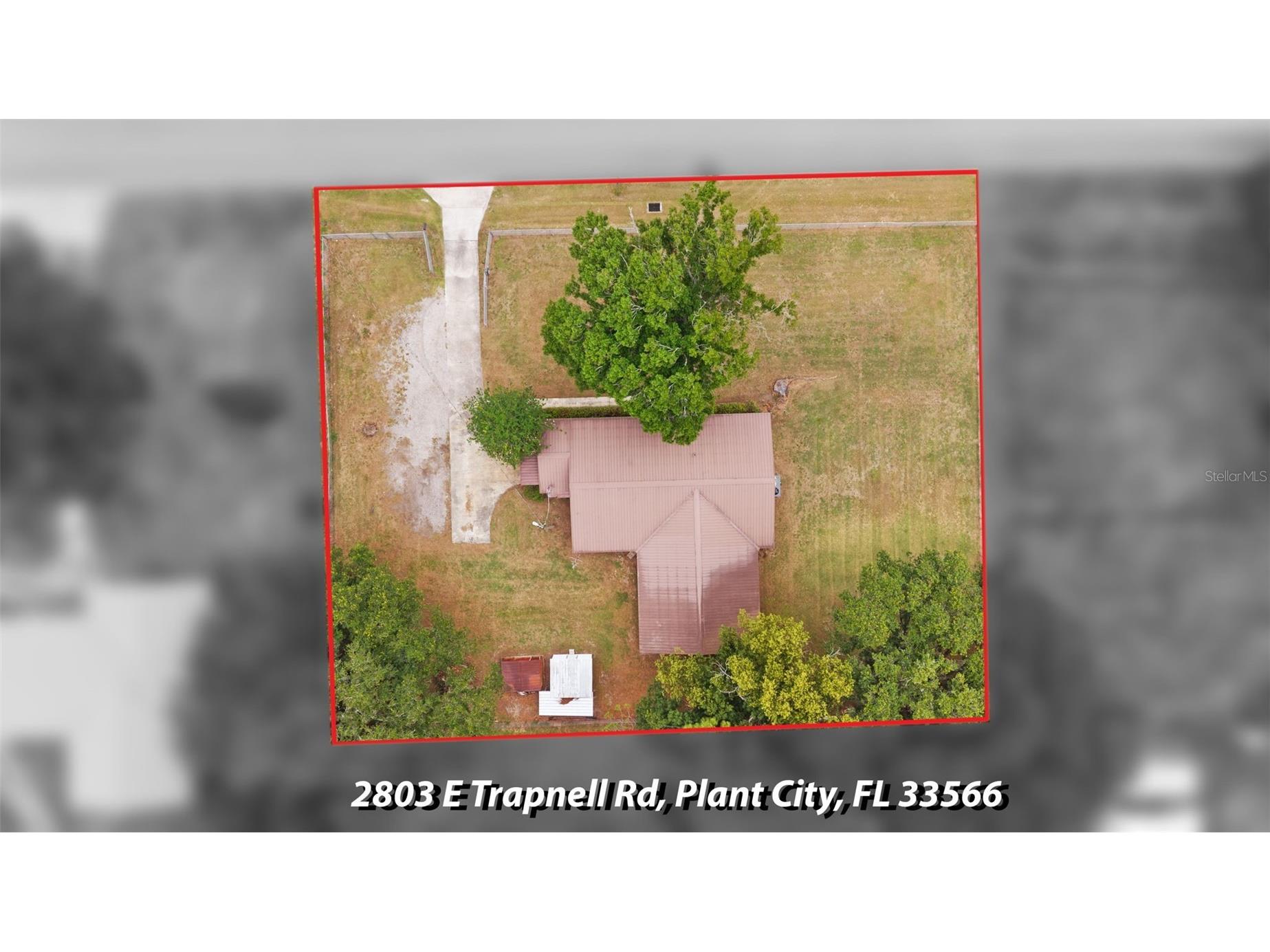 2803 E Trapnell Road Plant City FL 33566 TB8515923 image45