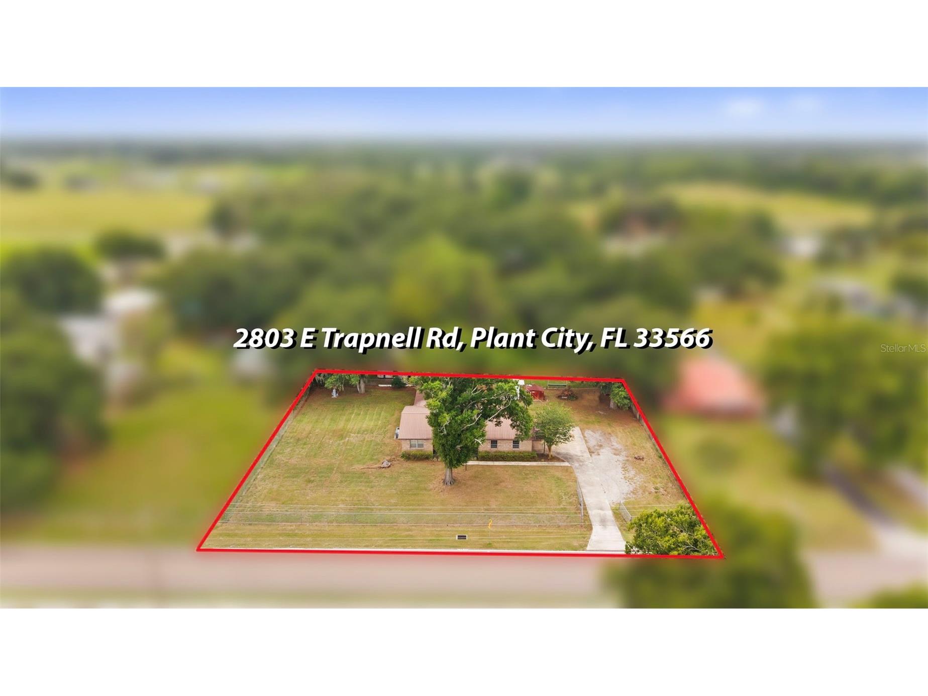 2803 E Trapnell Road Plant City FL 33566 TB8515923 image47