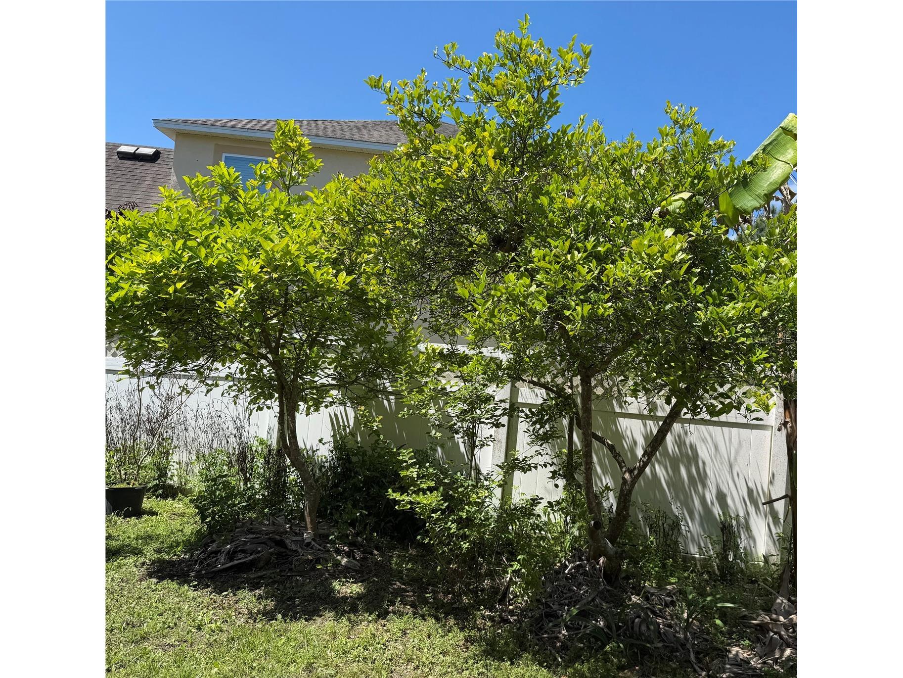 2803 Moonstone Bend Kissimmee FL 34758 GC539279 image29