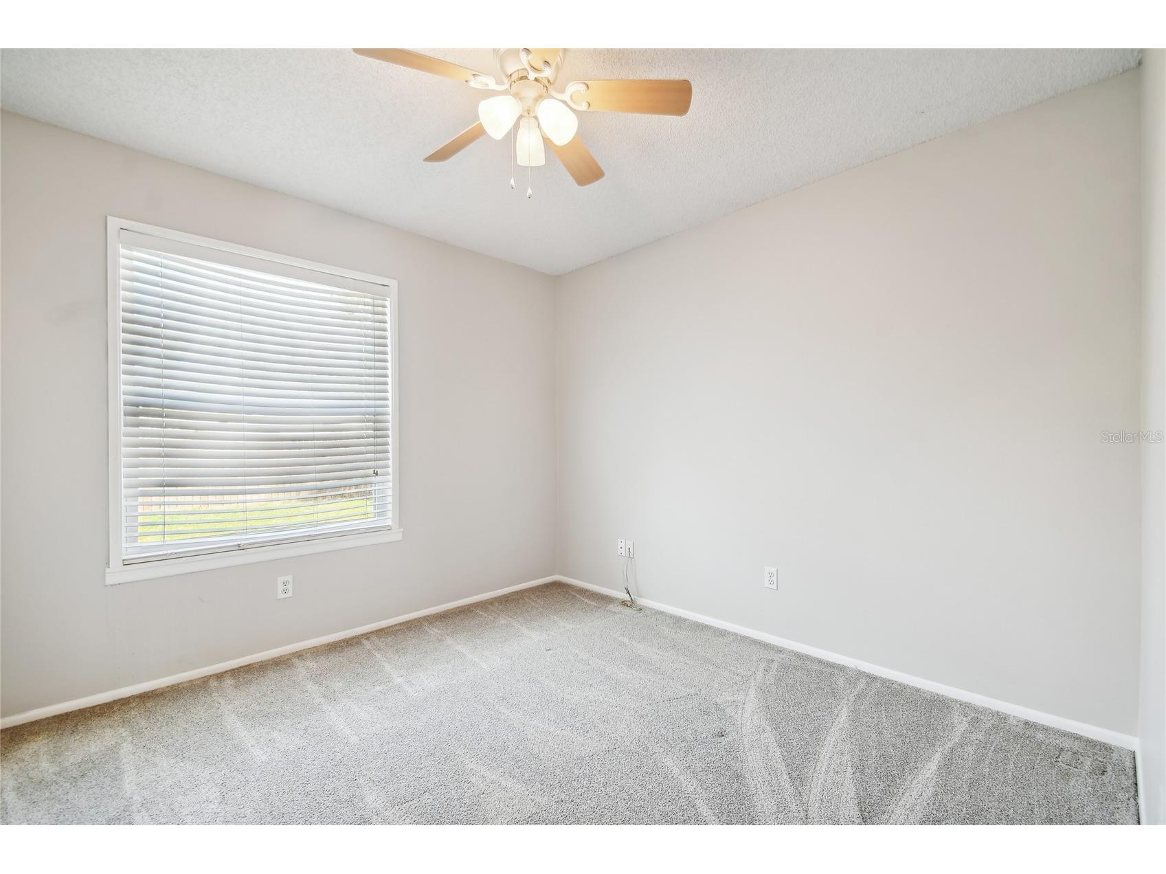 2803 Northcote Drive Palm Harbor FL 34684 TB8512207 image17
