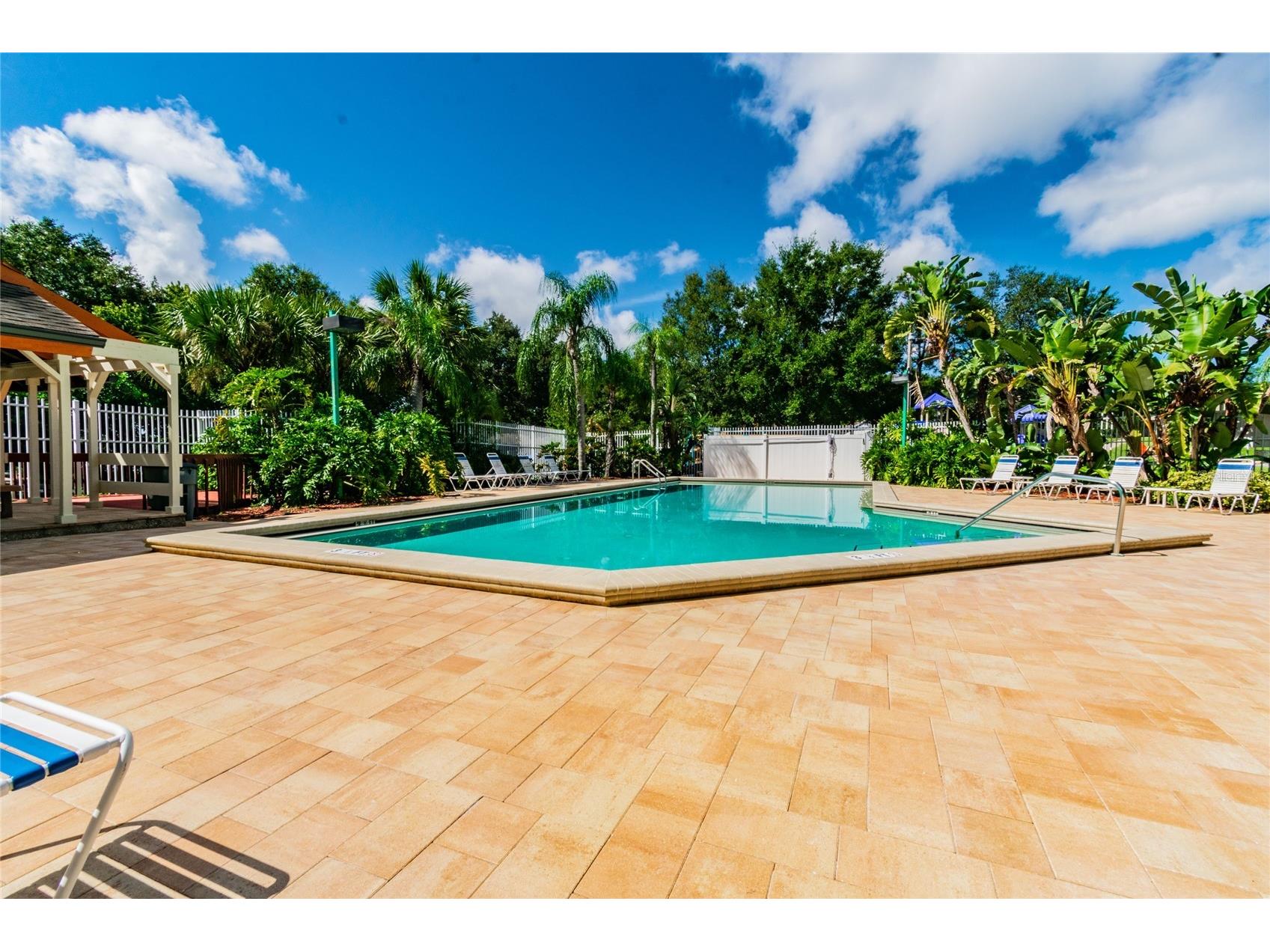 2803 Northcote Drive Palm Harbor FL 34684 TB8512207 image25