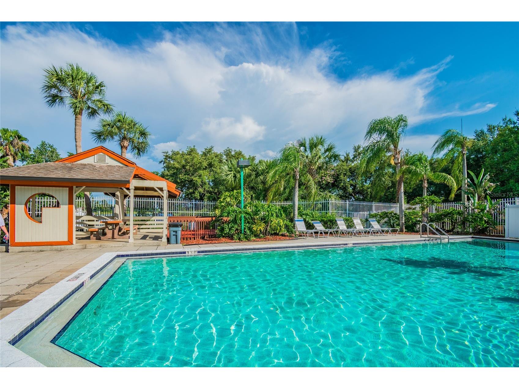 2803 Northcote Drive Palm Harbor FL 34684 TB8512207 image26