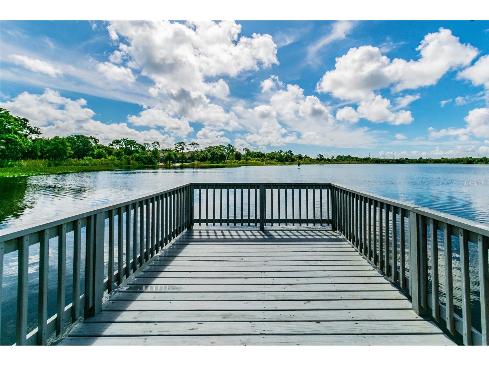 2803 Northcote Drive Palm Harbor FL 34684 TB8512207 image28