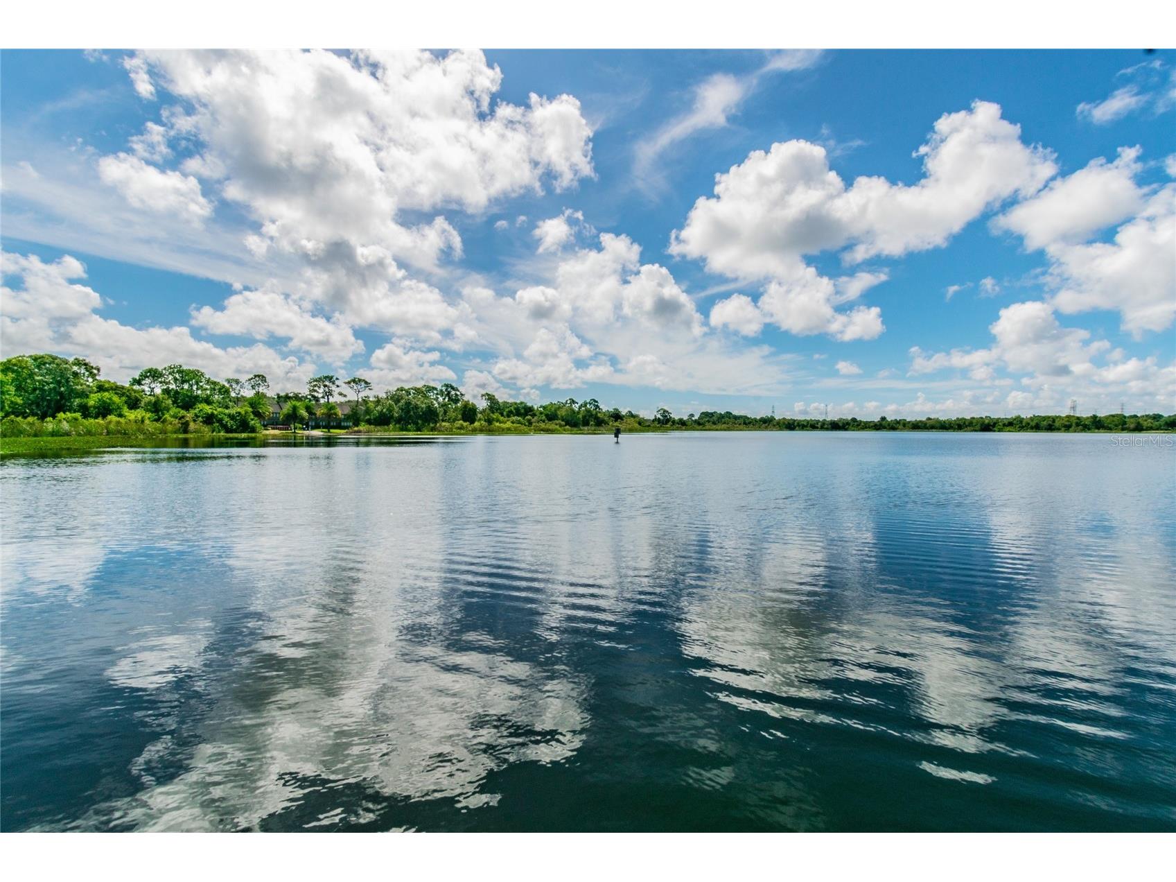 2803 Northcote Drive Palm Harbor FL 34684 TB8512207 image29