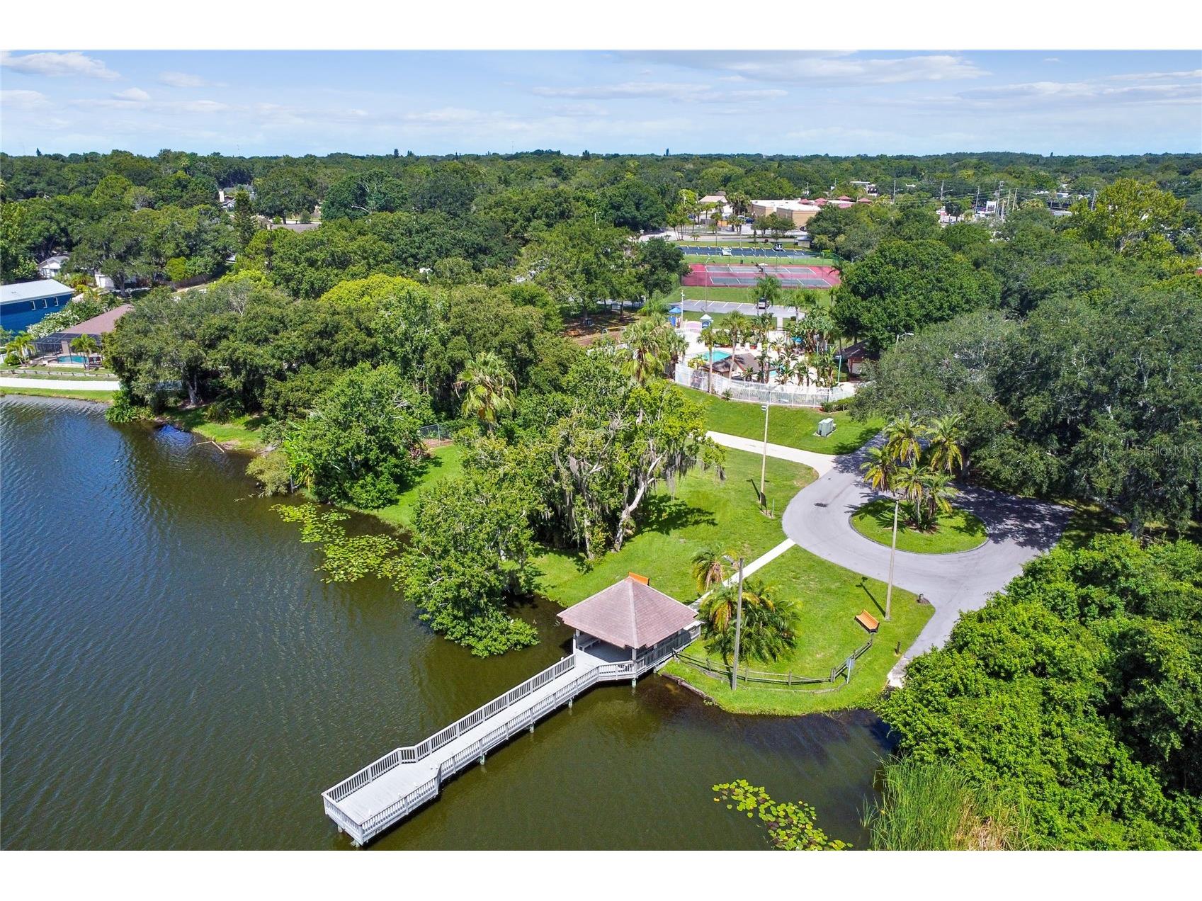 2803 Northcote Drive Palm Harbor FL 34684 TB8512207 image34