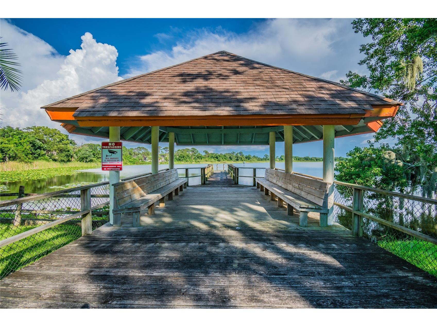2803 Northcote Drive Palm Harbor FL 34684 TB8512207 image35