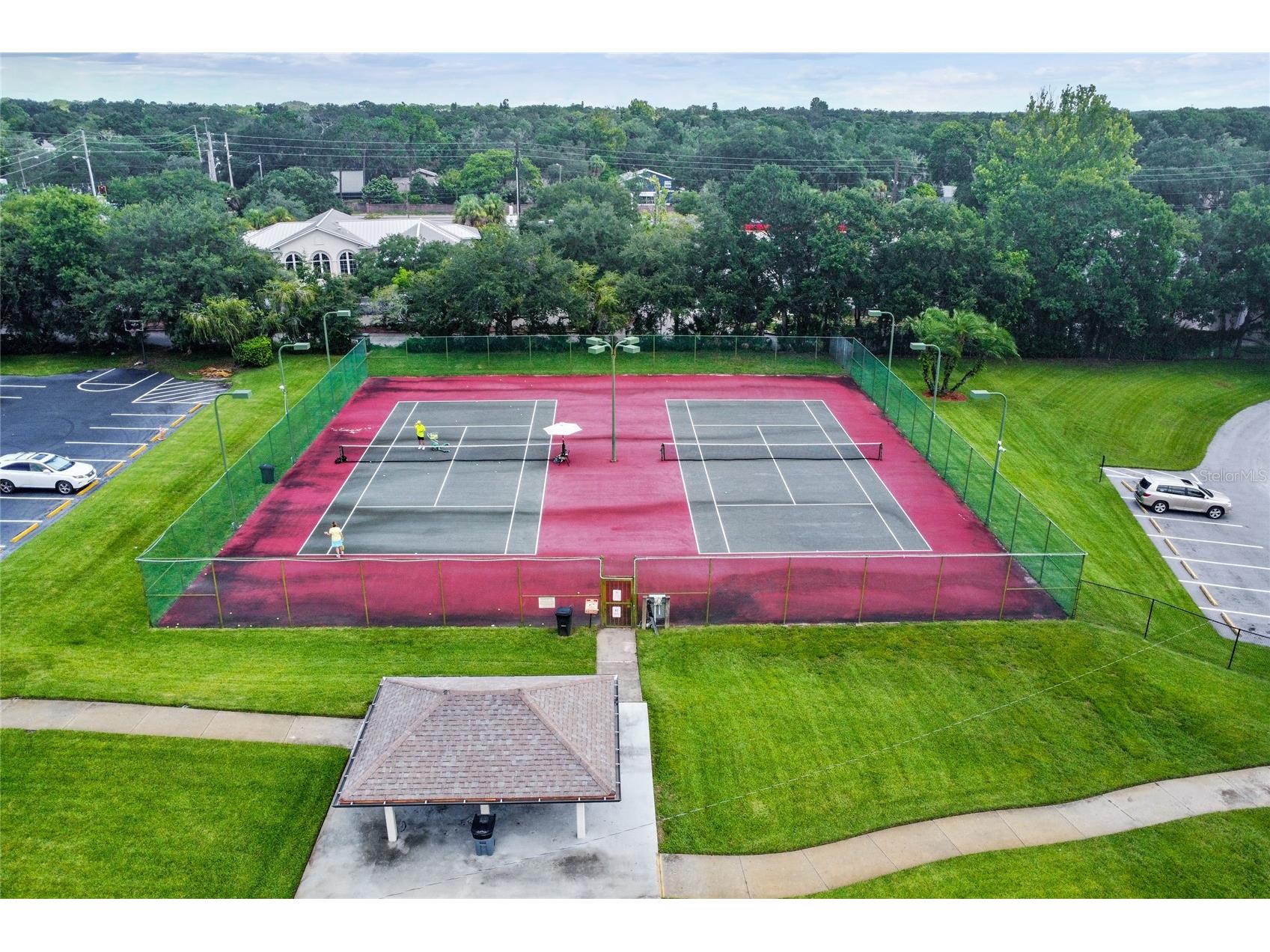 2803 Northcote Drive Palm Harbor FL 34684 TB8512207 image36