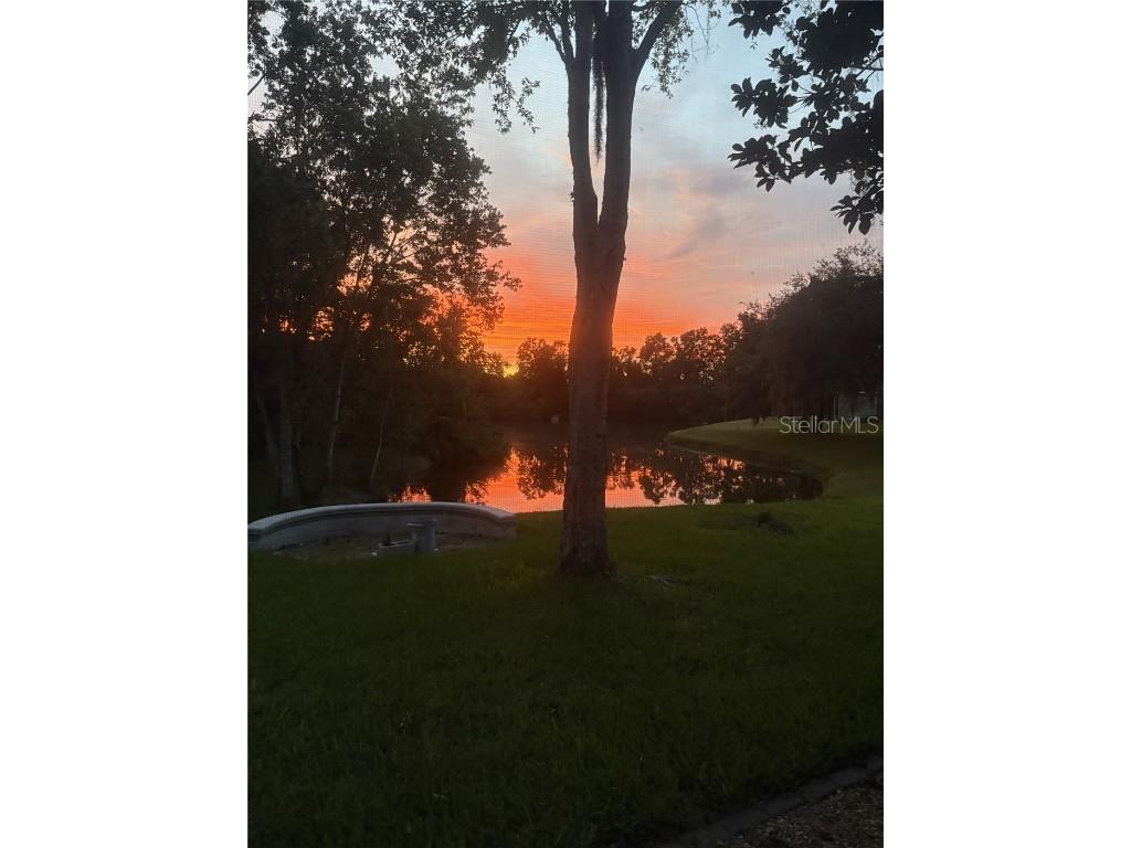 2803 Spring Meadow Drive Plant City FL 33566 L4956411 image59