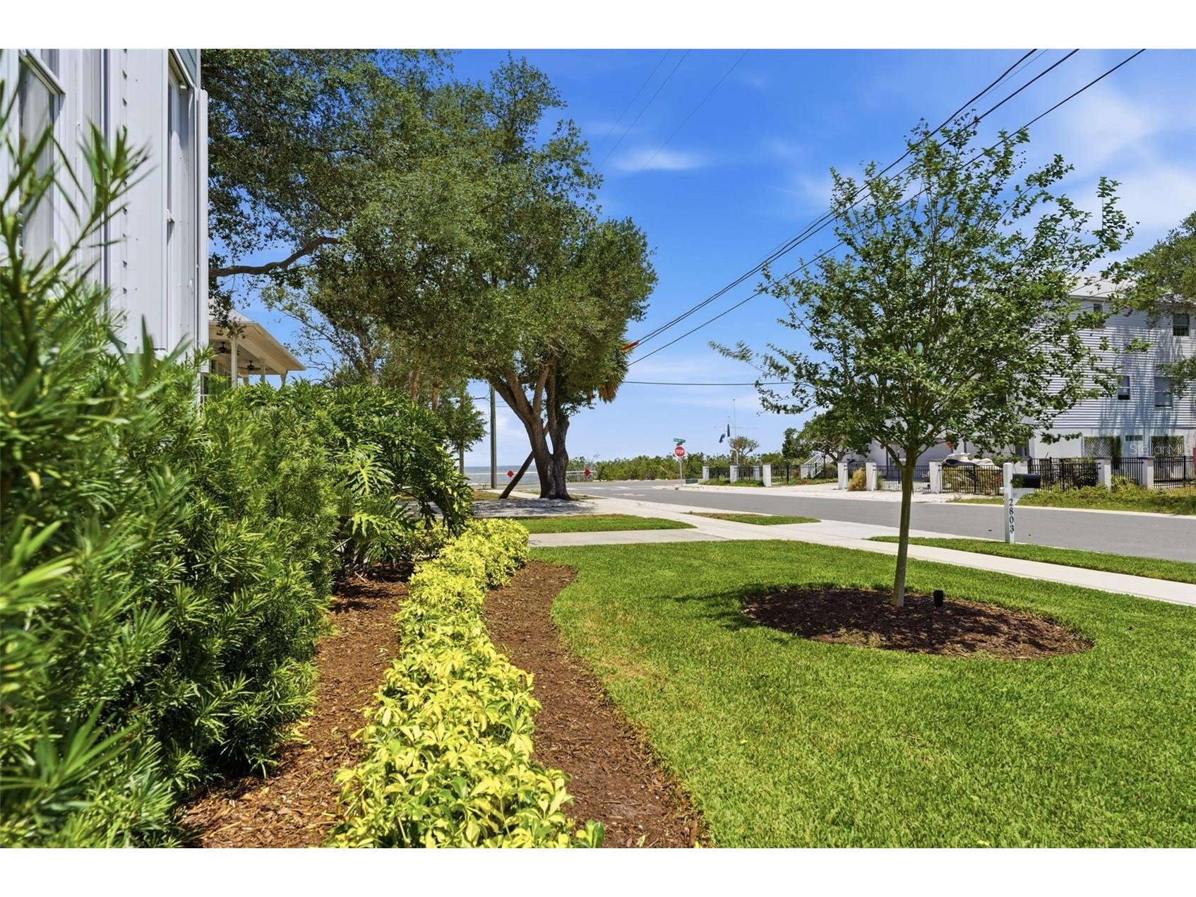 2803 W Averill Avenue Tampa FL 33611 TB8512283 image5
