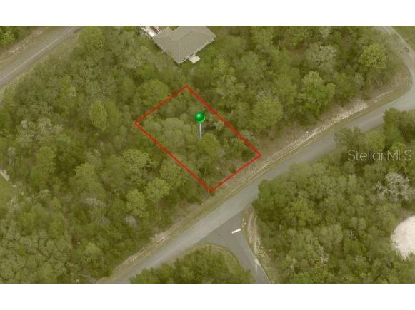 2803 W Manitoba Place Citrus Springs FL 34434 OM671023 image1