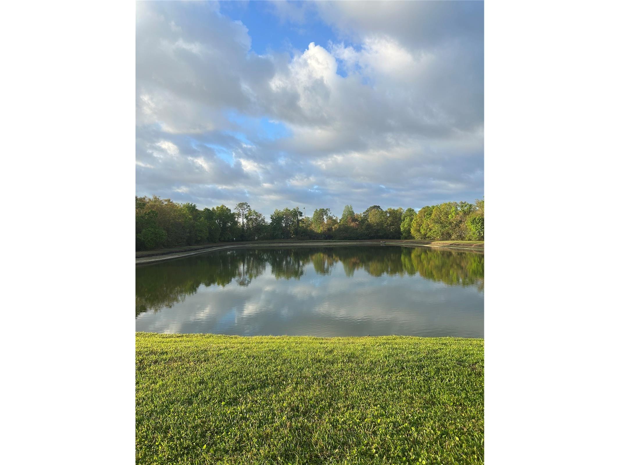 2804 Conch Hollow Drive Brandon FL 33511 TB8504775 image14