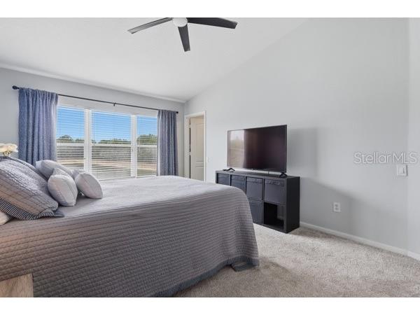 2804 Conch Hollow Drive Brandon FL 33511 TB8504775 image16
