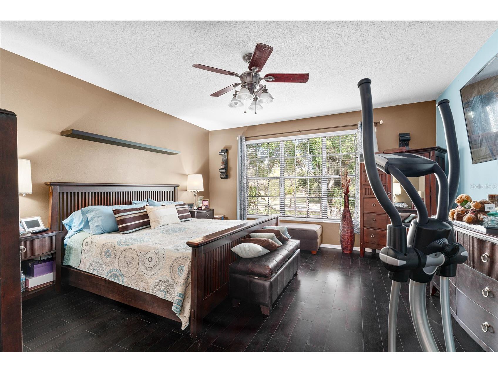 2804 Countryside Boulevard #3 Clearwater FL 33761 TB8471646 image23