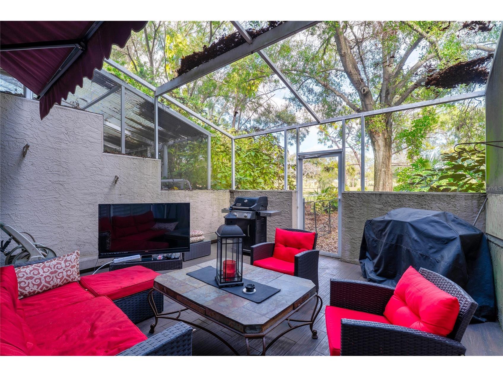 2804 Countryside Boulevard #3 Clearwater FL 33761 TB8471646 image47