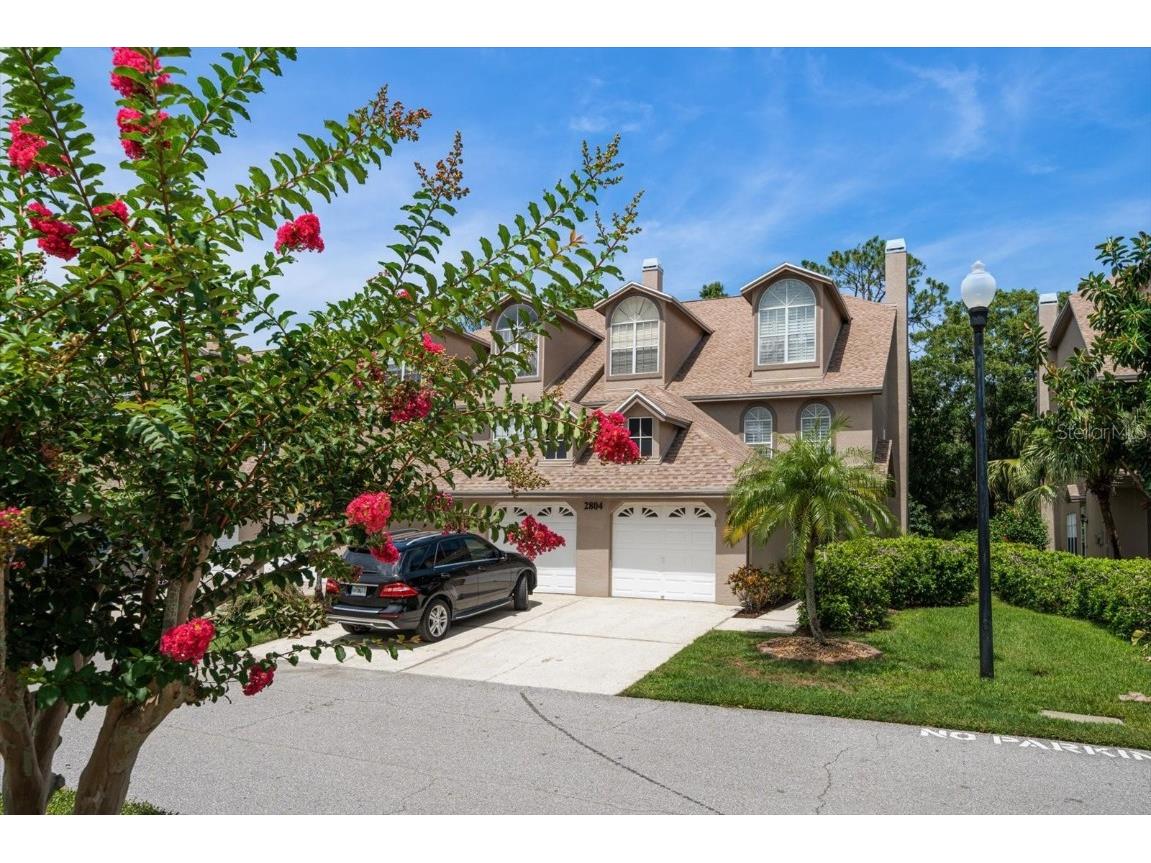 2804 Countryside Boulevard #4 Clearwater FL 33761 TB8401577 image1