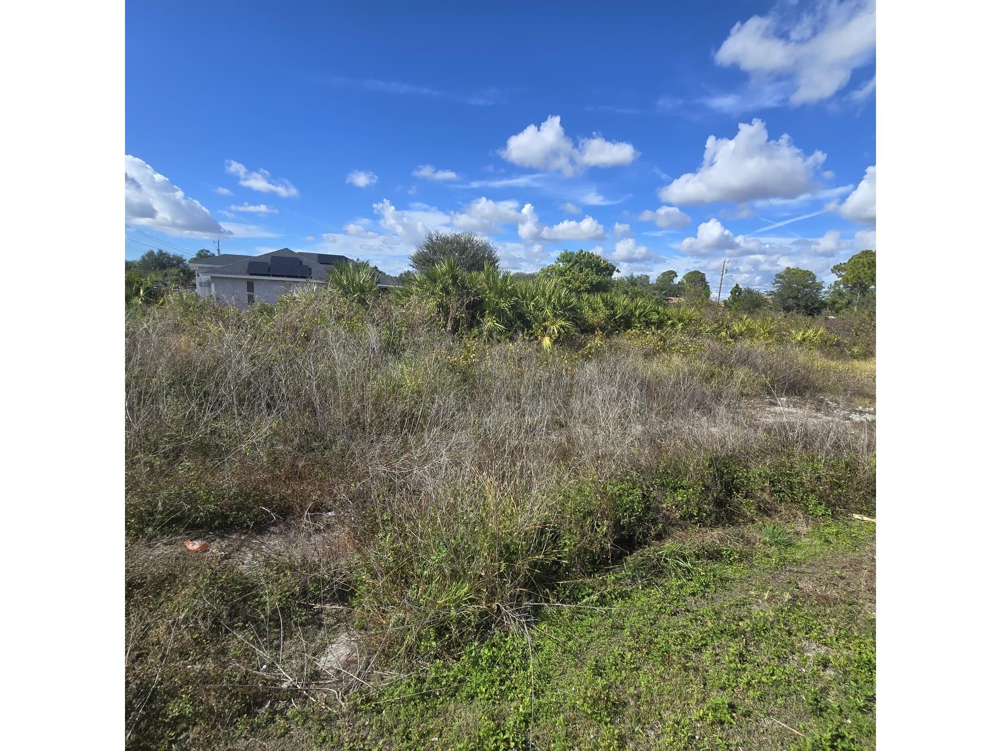 2804 E 11th Street Lehigh Acres FL 33972 O6381945 image4