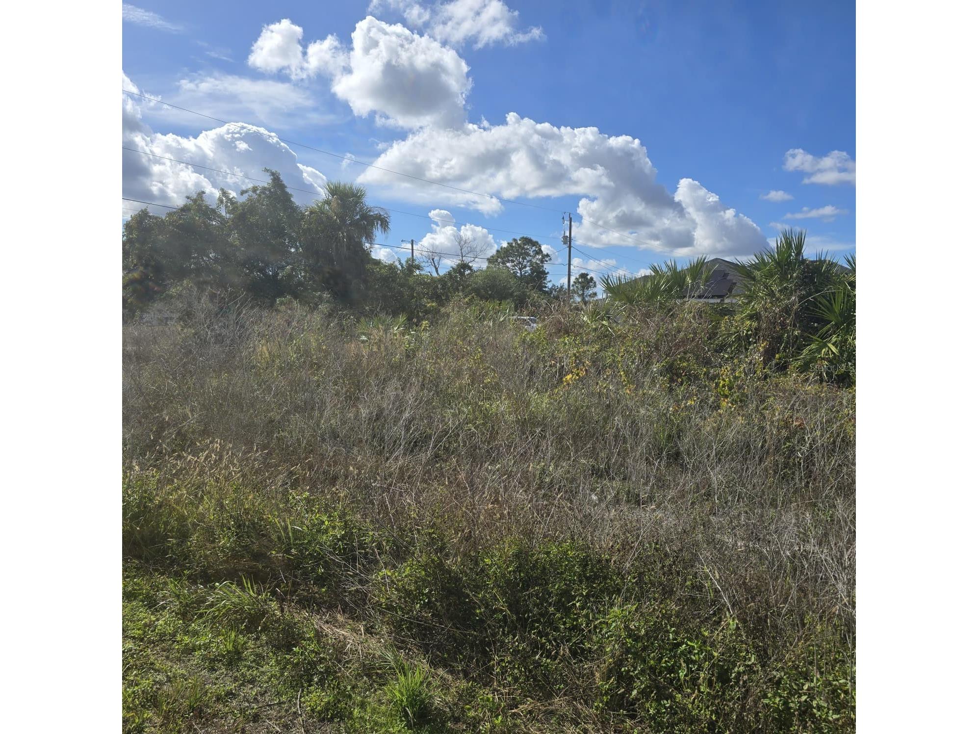 2804 E 11th Street Lehigh Acres FL 33972 O6381945 image5