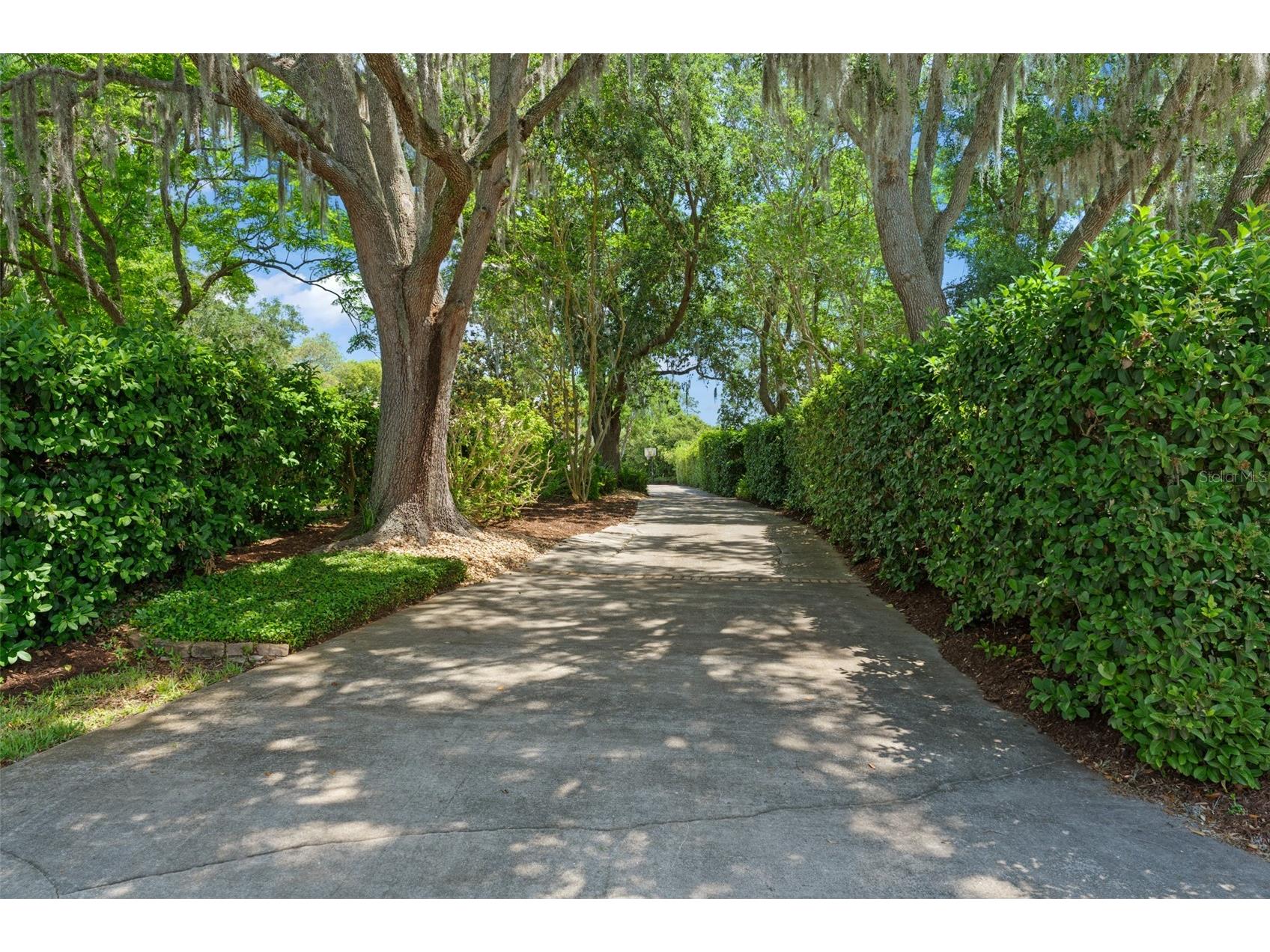 2804 Marquesas Court Windermere FL 34786 - LAKE CRESCENT O6405937 image3