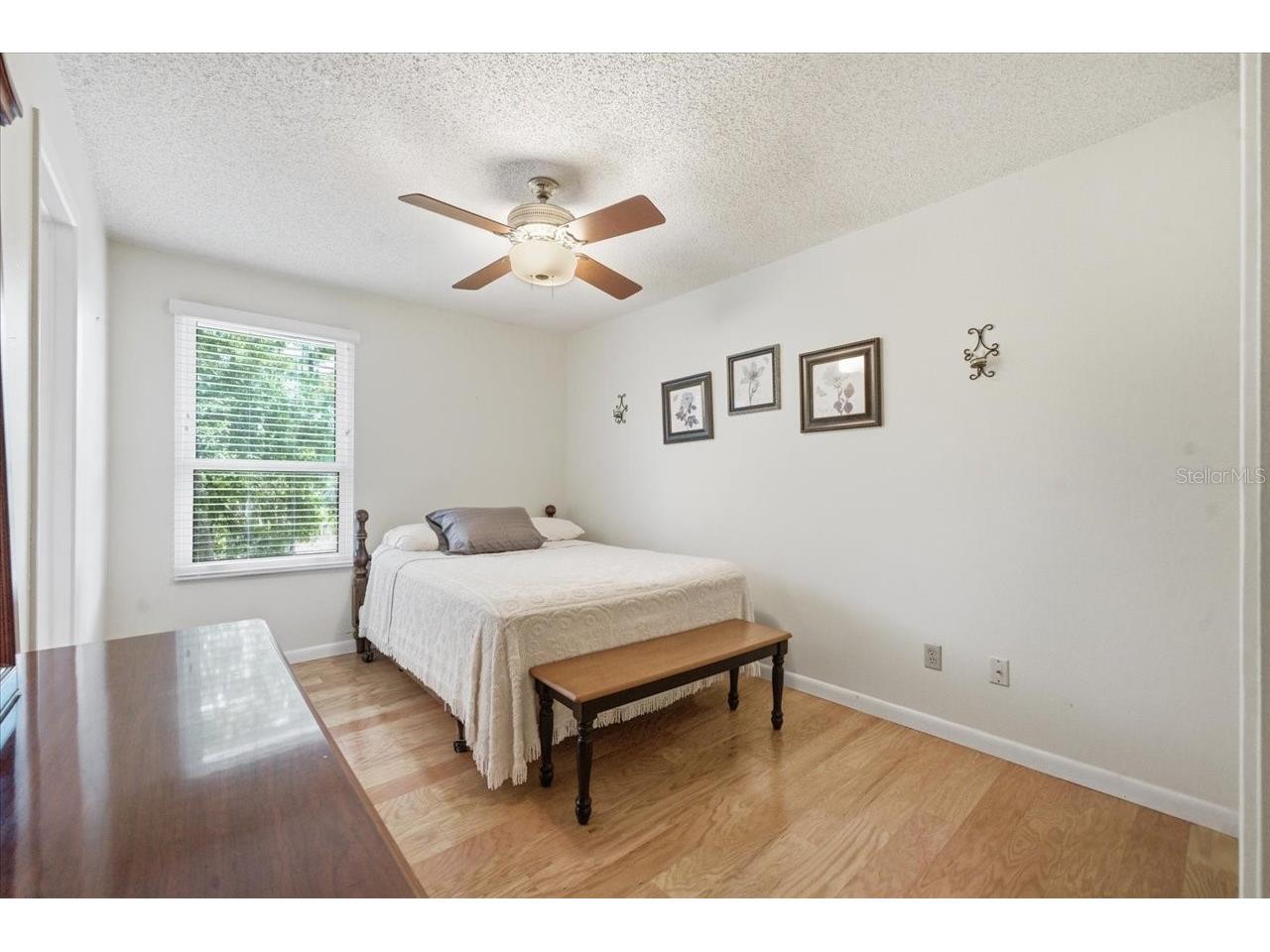 2804 Palamore Drive Tampa FL 33618 TB8506041 image38