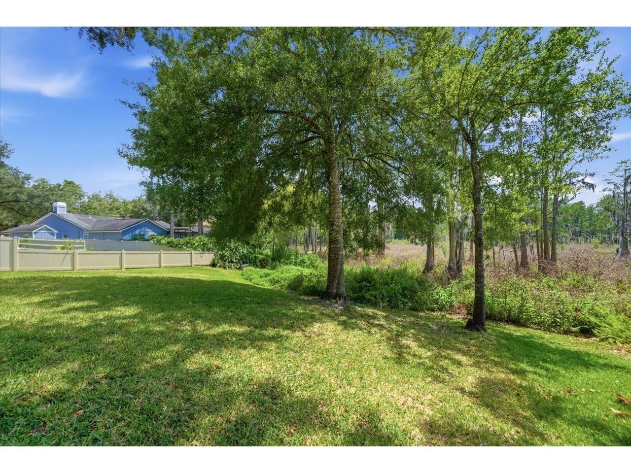 2804 Palamore Drive Tampa FL 33618 TB8506041 image47