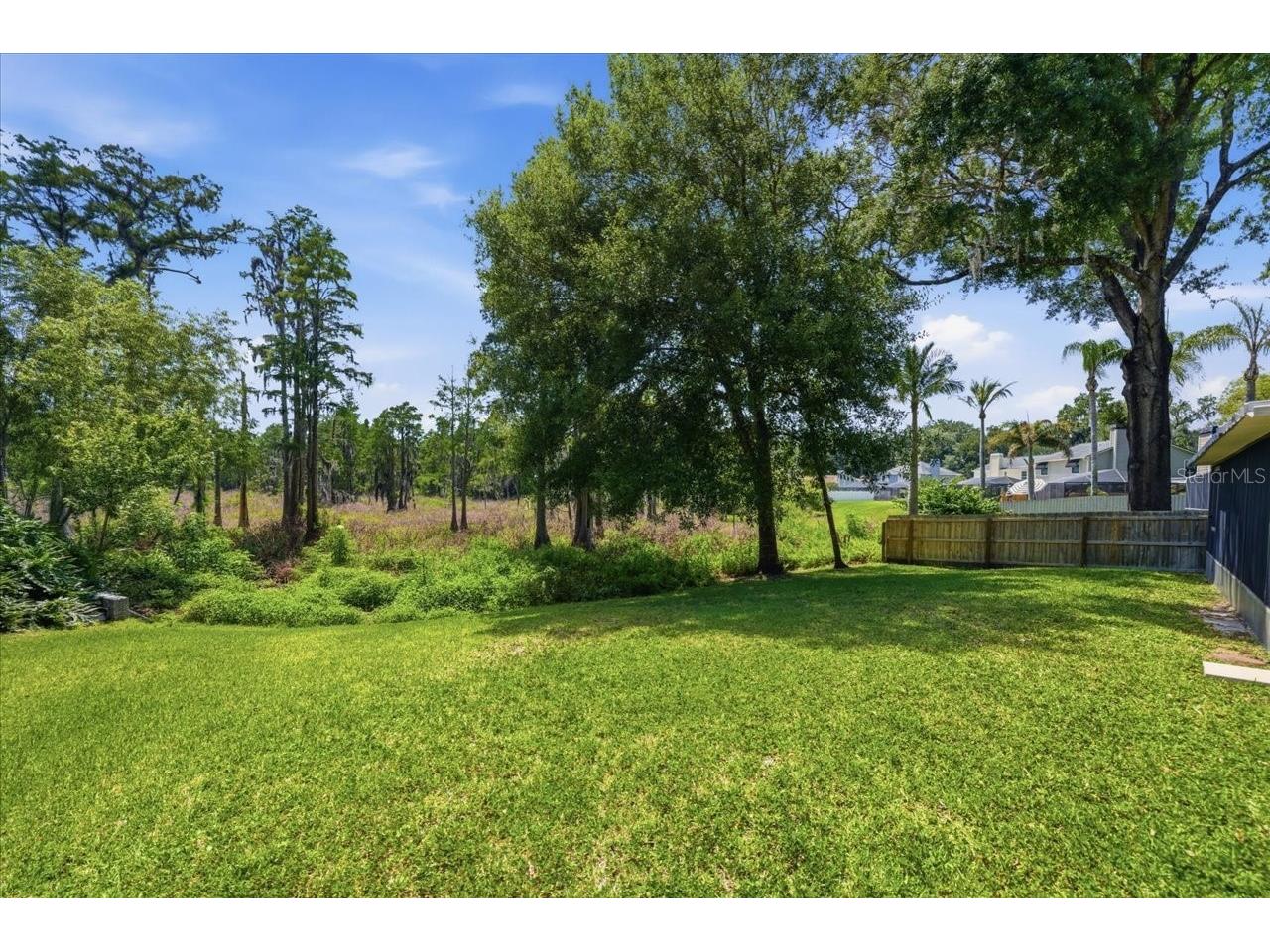 2804 Palamore Drive Tampa FL 33618 TB8506041 image8