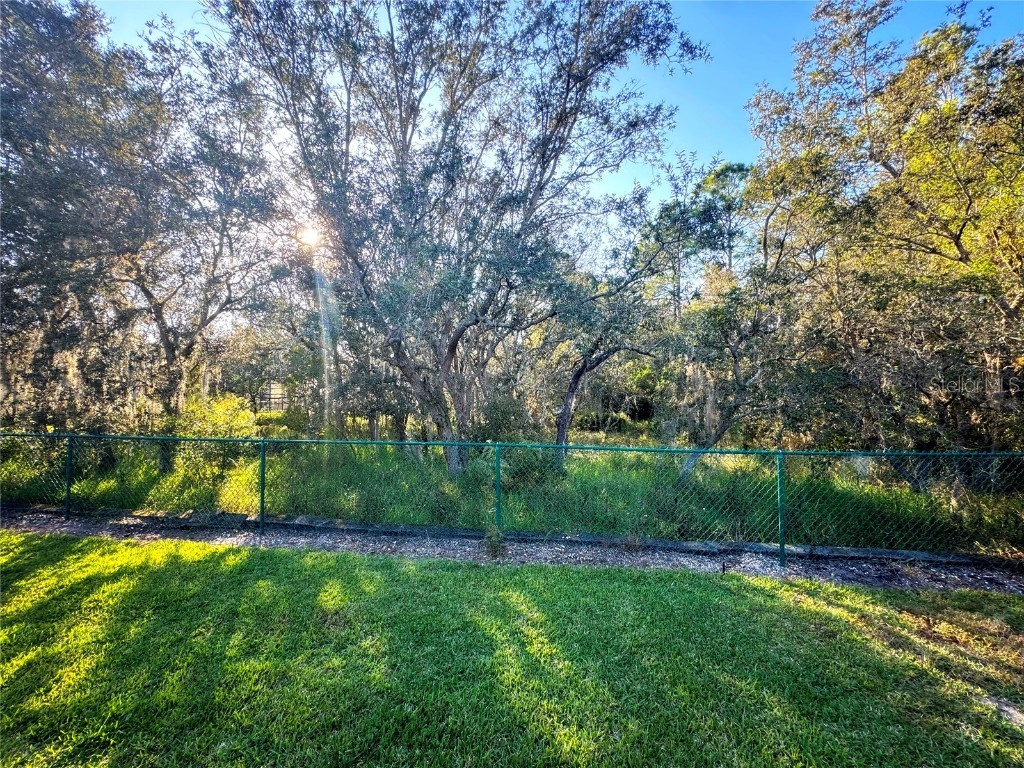 2804 Roccella Court Kissimmee FL 34747 O6360984 image29