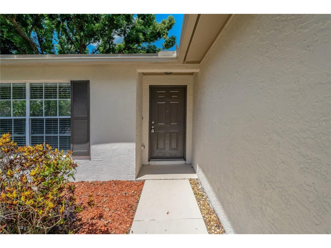 2804 Timberway Place Brandon FL 33511 TB8428484 image4
