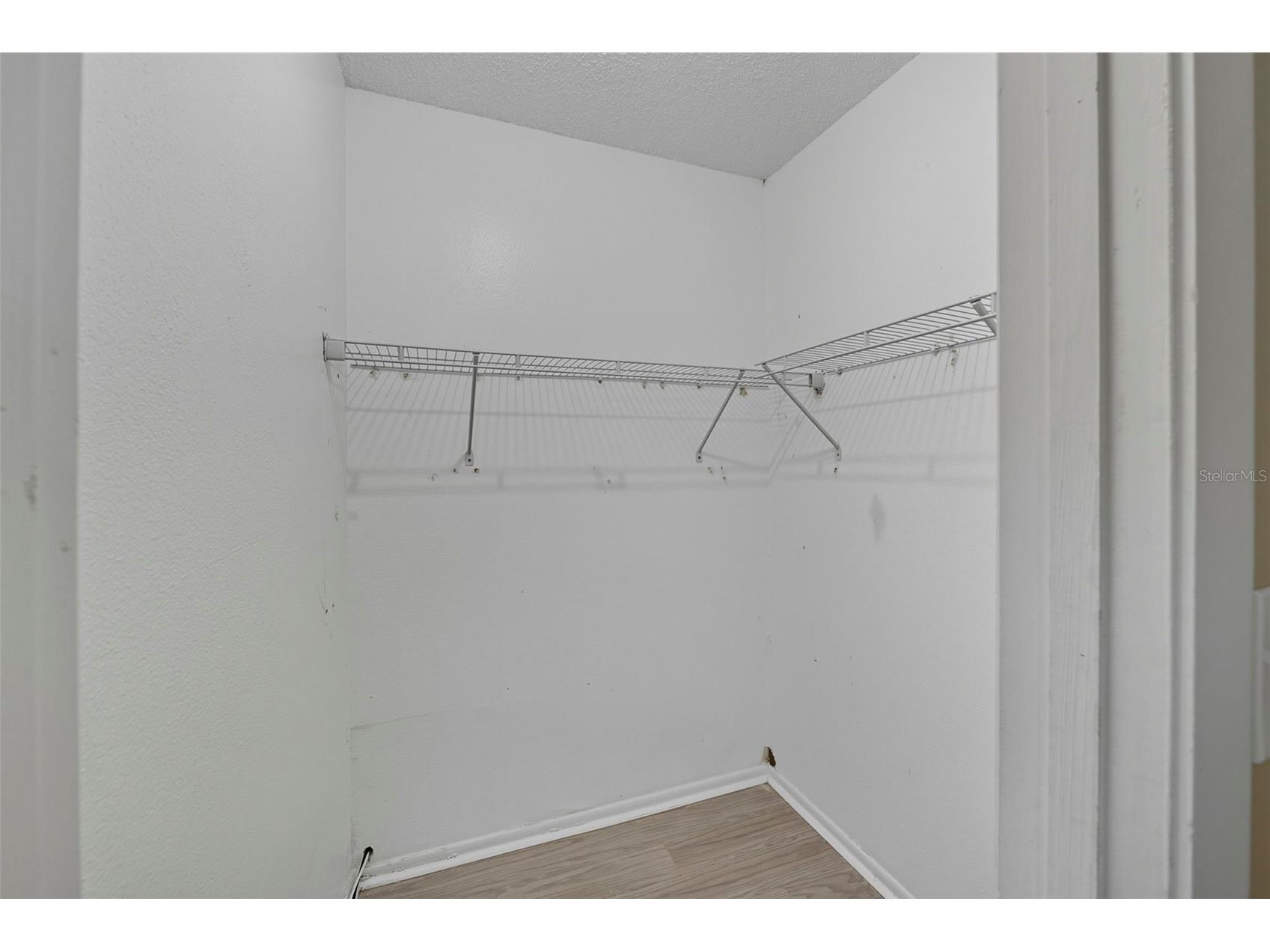 28042 Lois Drive Tavares FL 32778 O6416888 image33