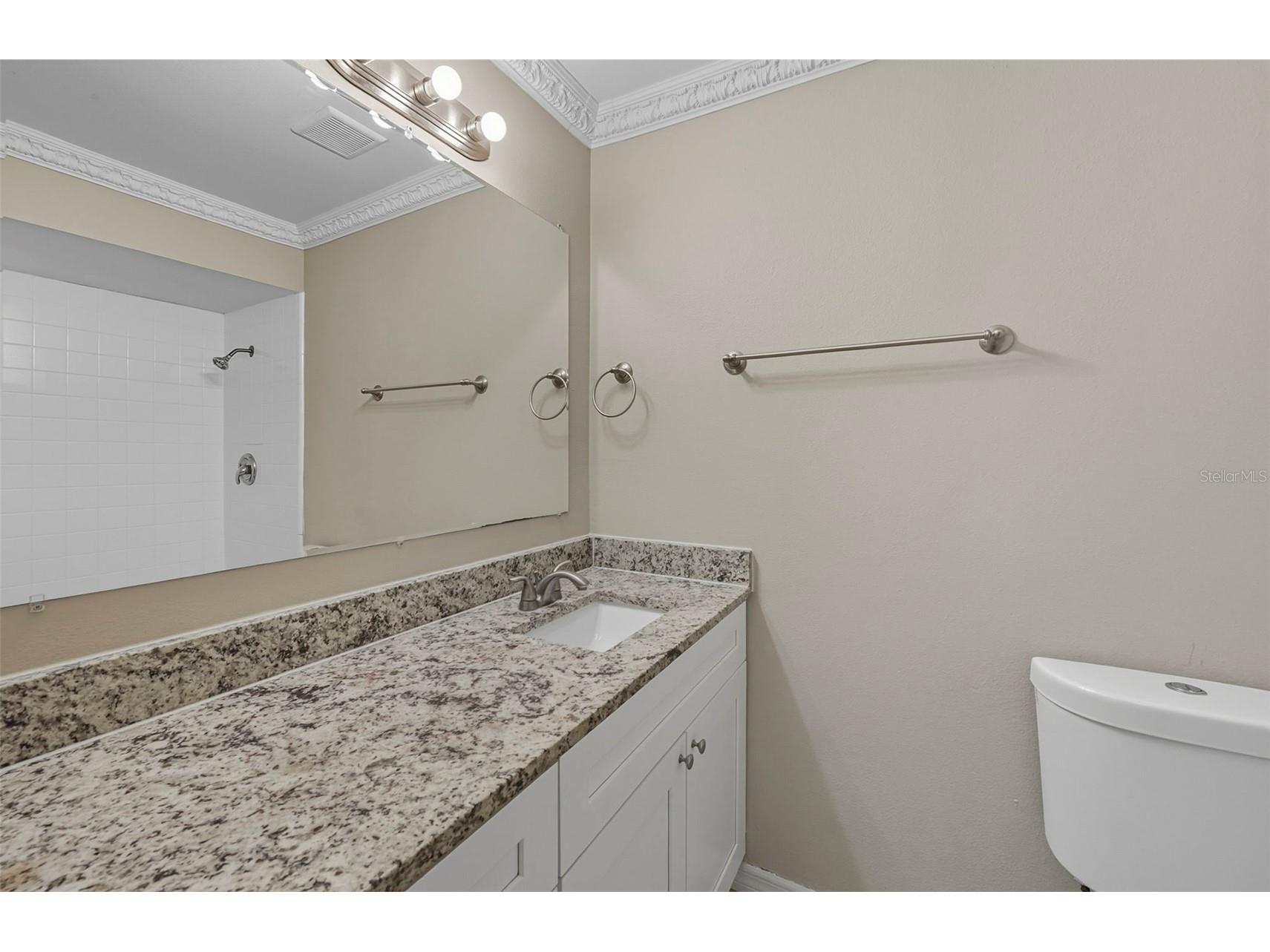 28042 Lois Drive Tavares FL 32778 O6416888 image35