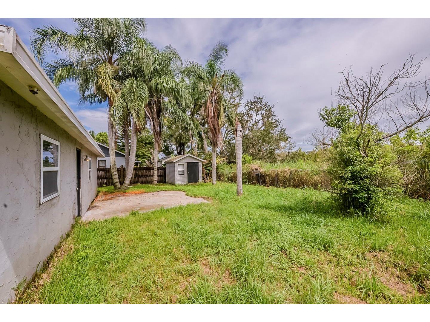 28042 Lois Drive Tavares FL 32778 O6416888 image38