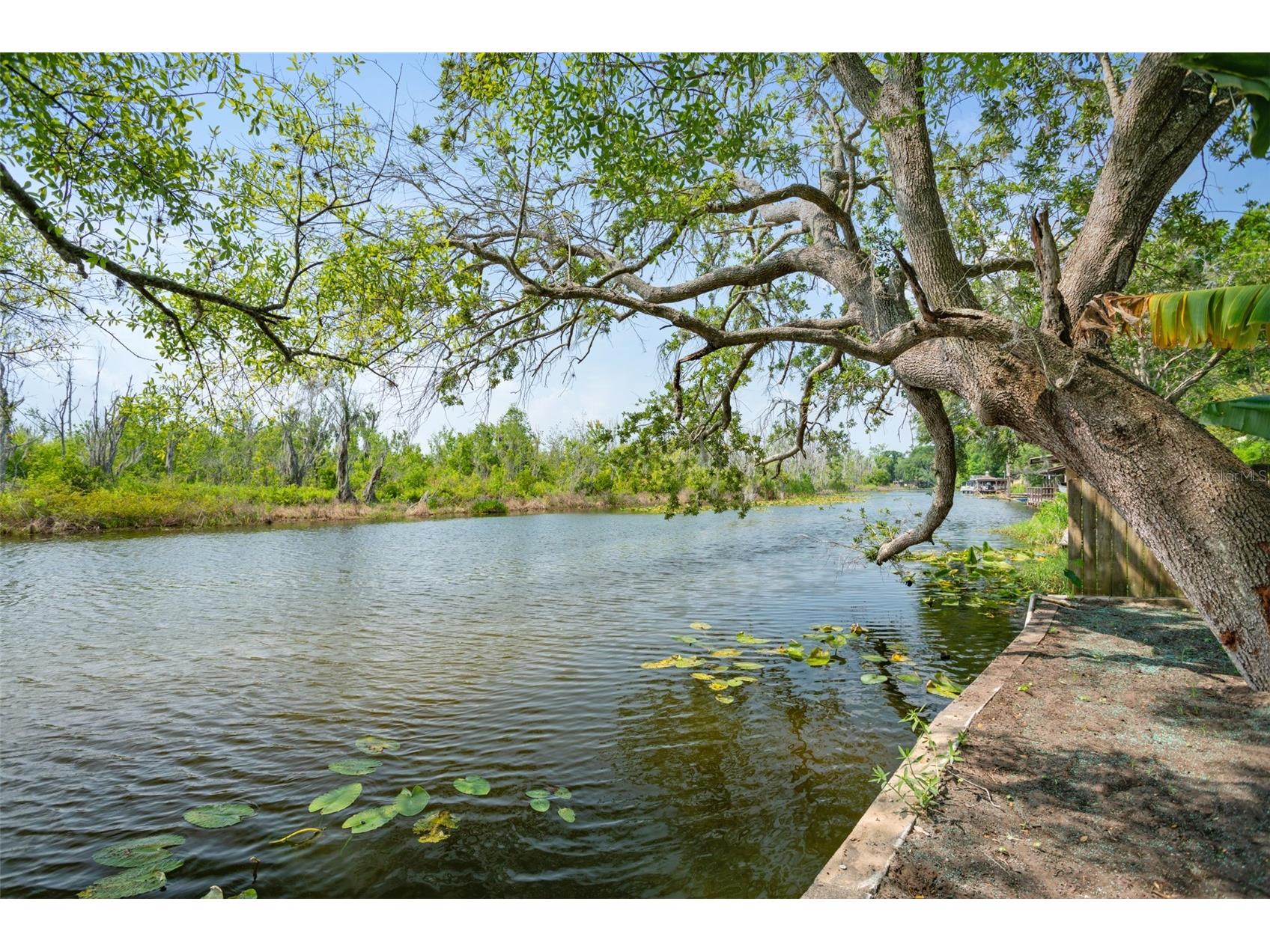 28046 Lois Drive Tavares FL 32778 O6422998 image14