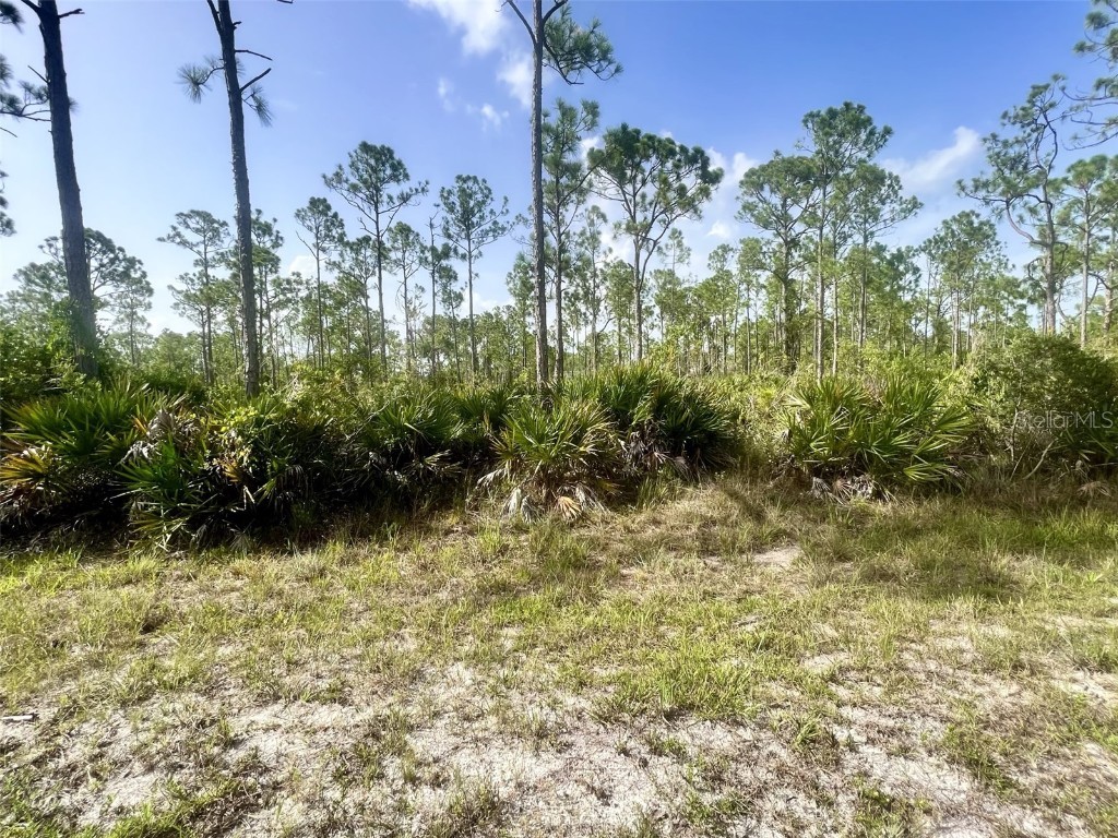 28048 Argyle Drive Punta Gorda FL 33955 C7478352 image1