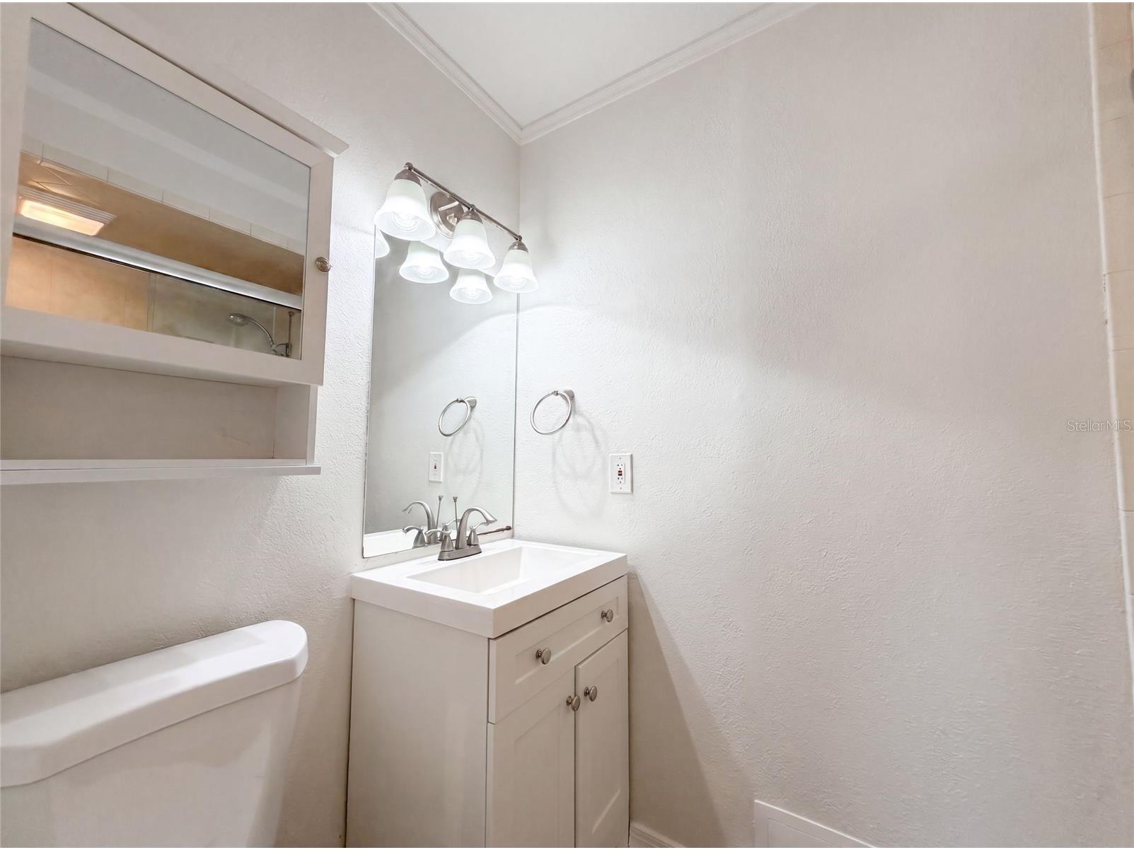 2805 105th Street E Palmetto FL 34221 O6423662 image18