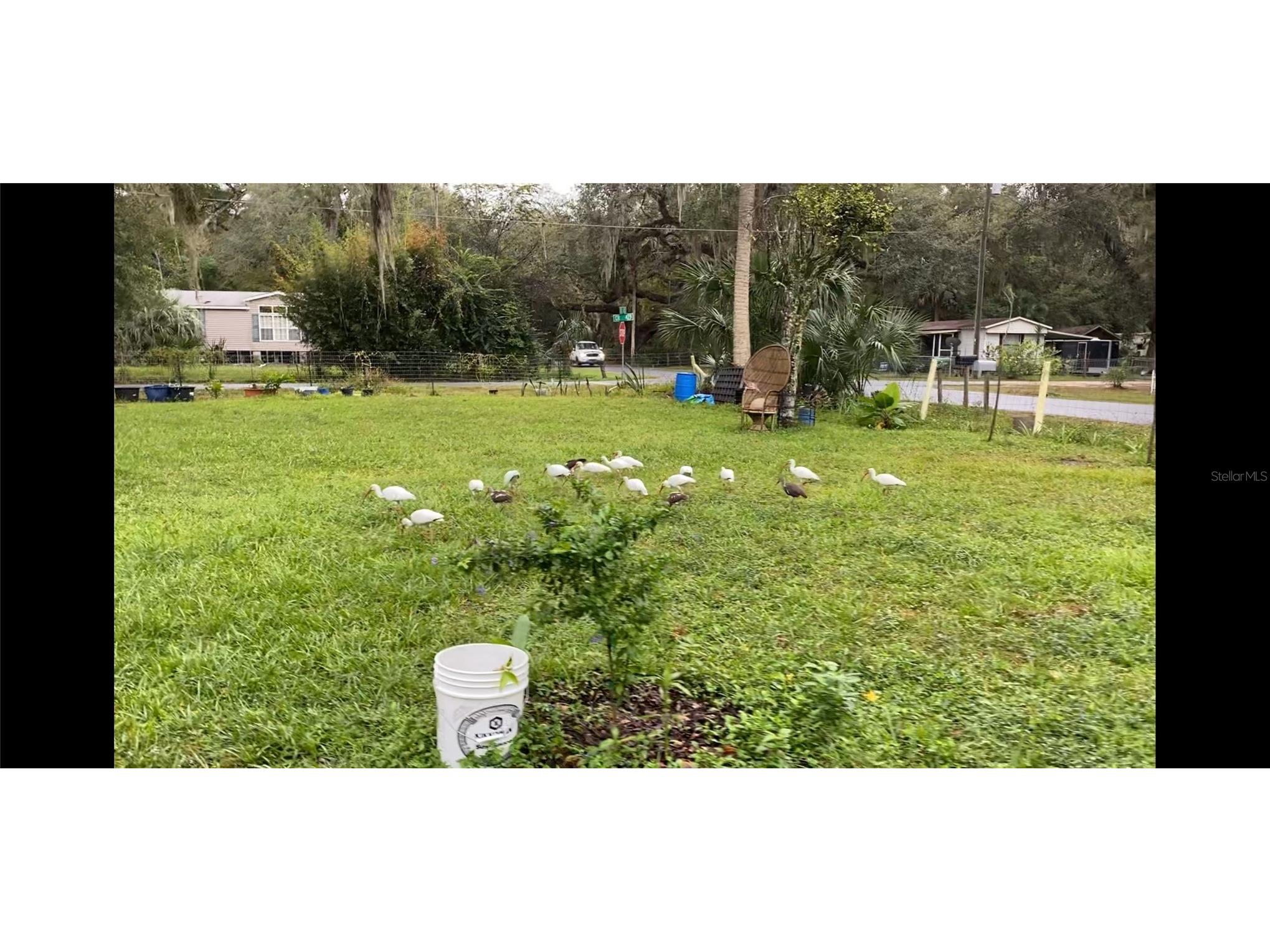 2805 Cr 423 Lake Panasoffkee FL 33538 TB8466027 image3