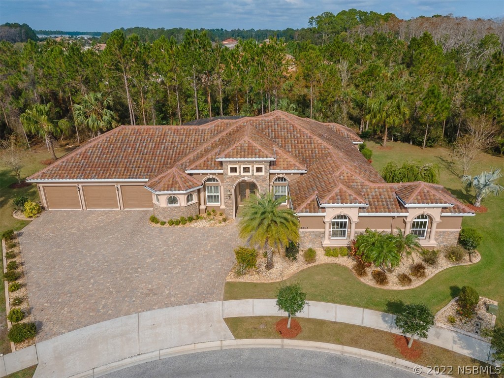 2805 Paradiso Court New Smyrna Beach FL 32168 NS1071605 image1