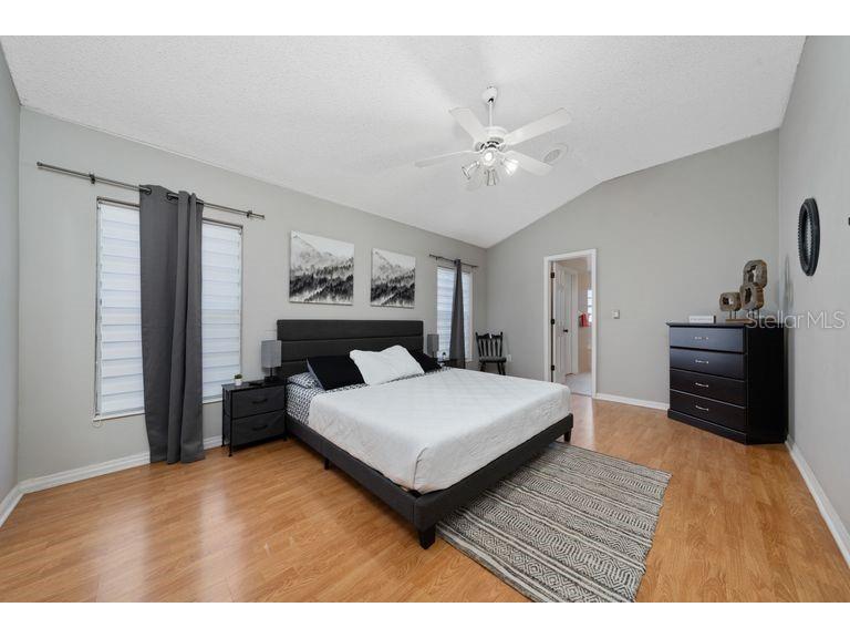 2805 Sweet Plum Ct Kissimmee FL 34747 S5133326 image23